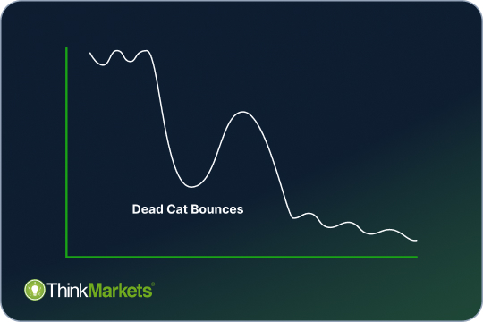 What is the Dead Cat Bounce Pattern and How to Identify It