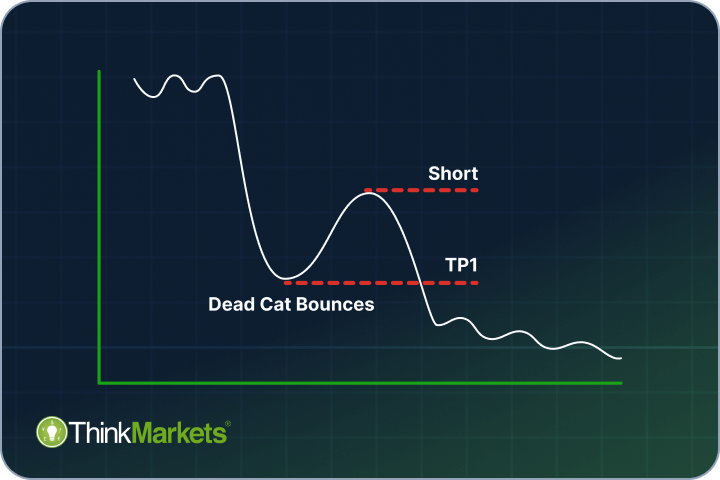 Dead Cat Bounce Trading: Pattern Indicators, Forex Trading Strategy and Risk Management